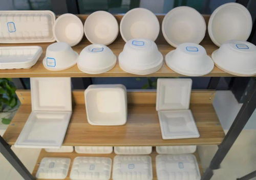 肃州区绿色环保新篇章 降解薄膜项目成功签约，生态生产再添新动力